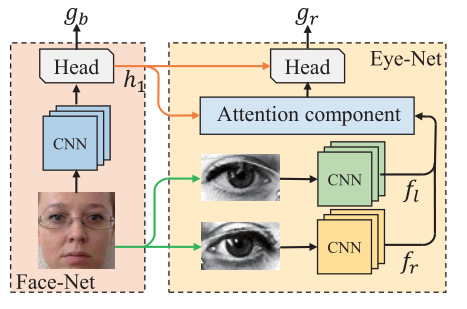 《A Coarse-to-Fine Adaptive Network for Appearance-Based Gaze Estimation ...