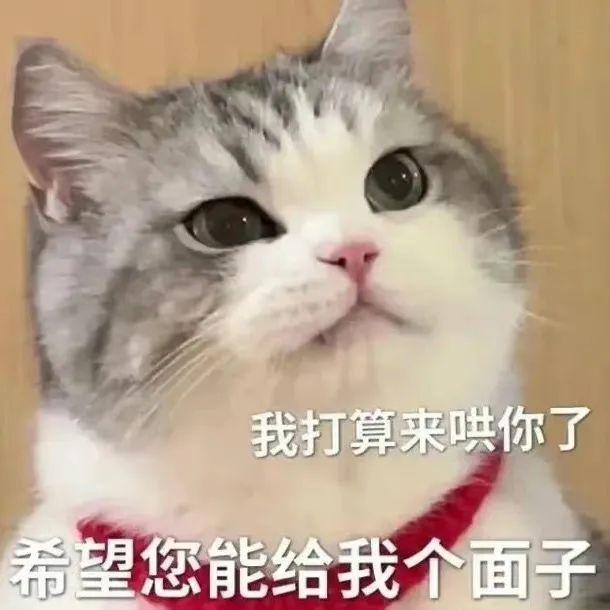 有哪些适合情侣间聊天使用的表情包? - 知乎