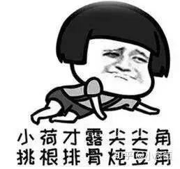 v2-cd3bb68454cddeffd52c9093a33d4c50_b.jpg