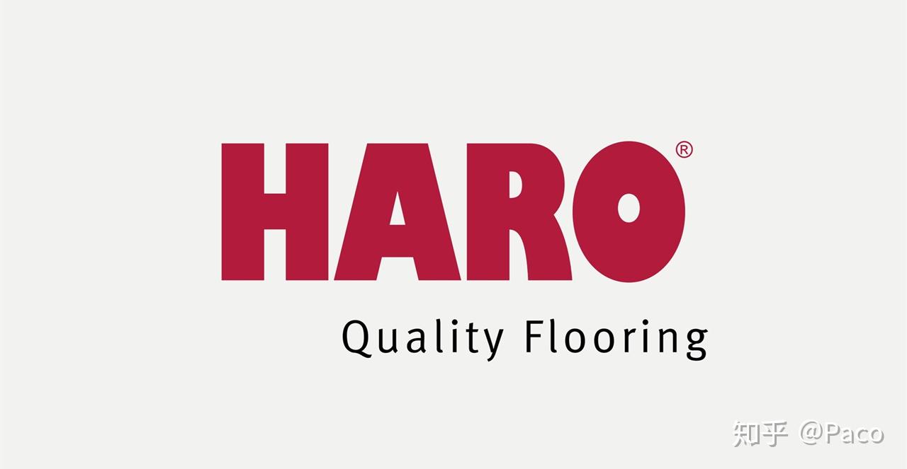 汉诺地板logo图片