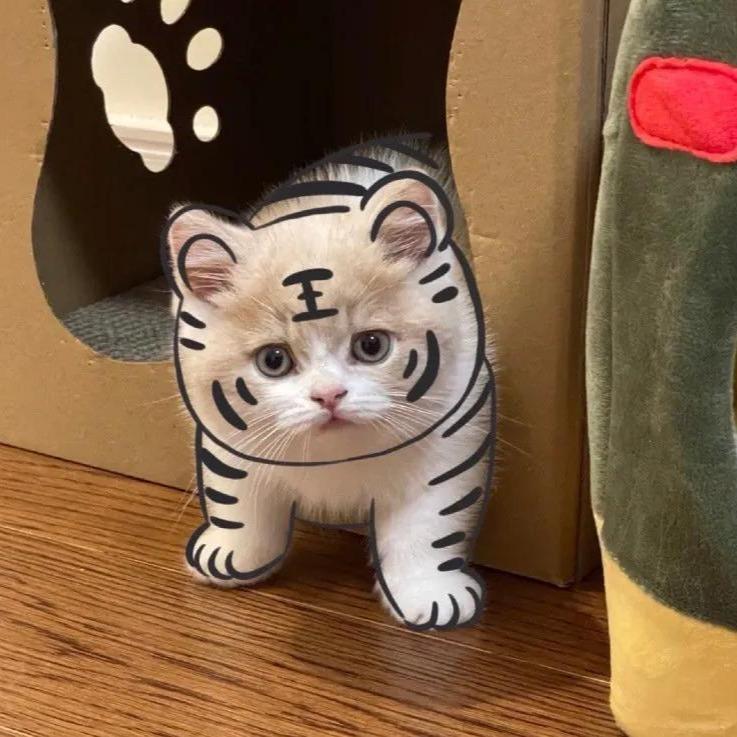 王大锤