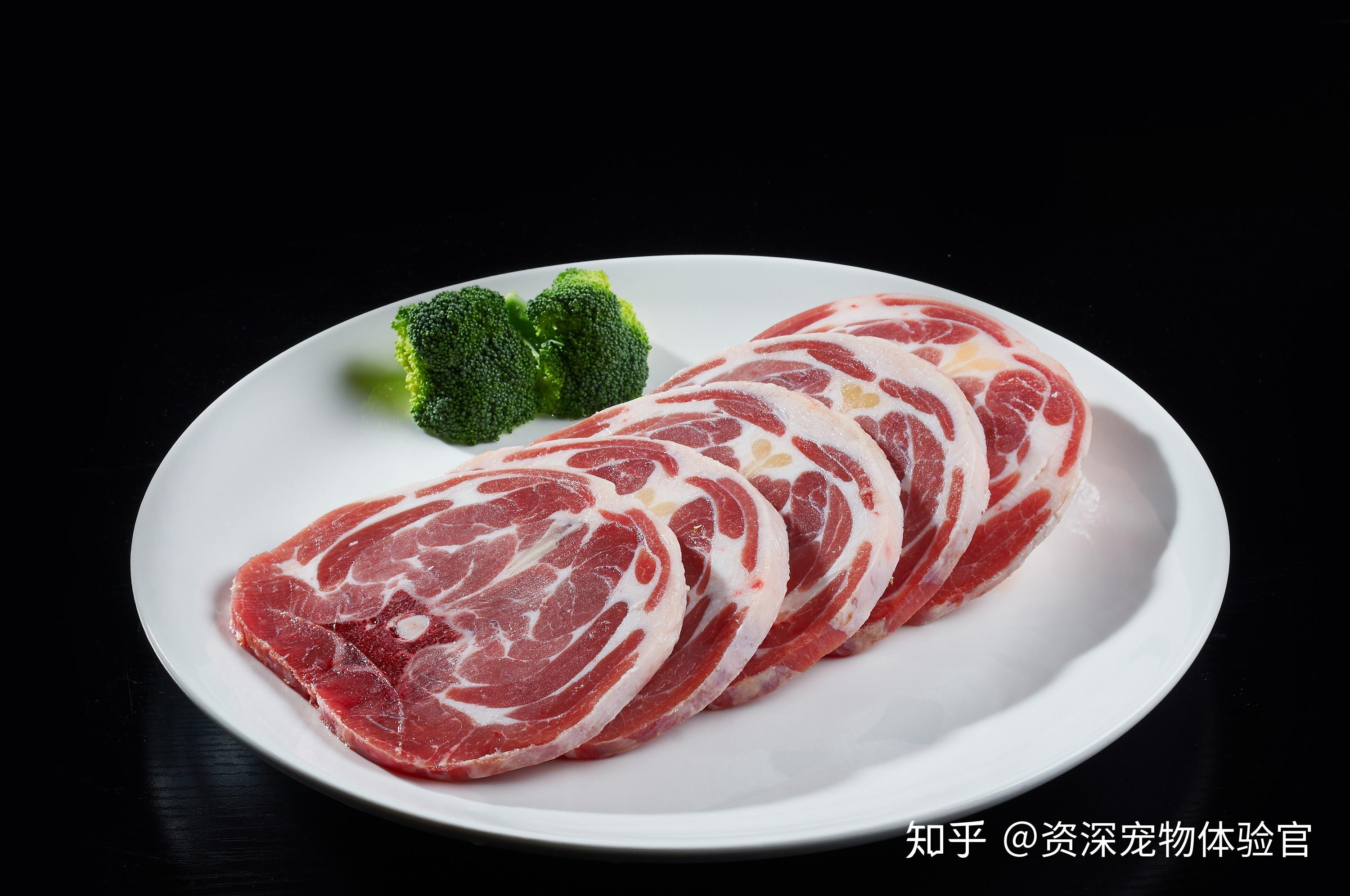 貓是肉食者,它們必須從肉類中獲取蛋白質,才能擁有強大的心臟,良好的