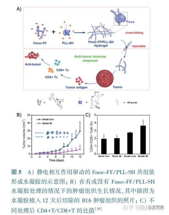 肽自组装水凝胶的制备及在生物医学中的应用 - 知乎