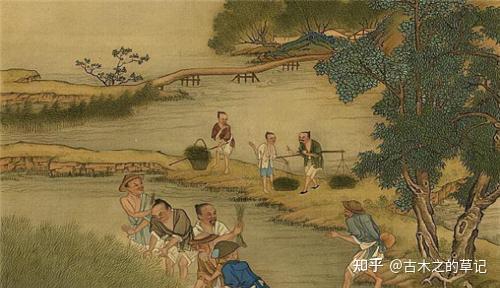 浅析中国历史上的农业技术发展 - 知乎