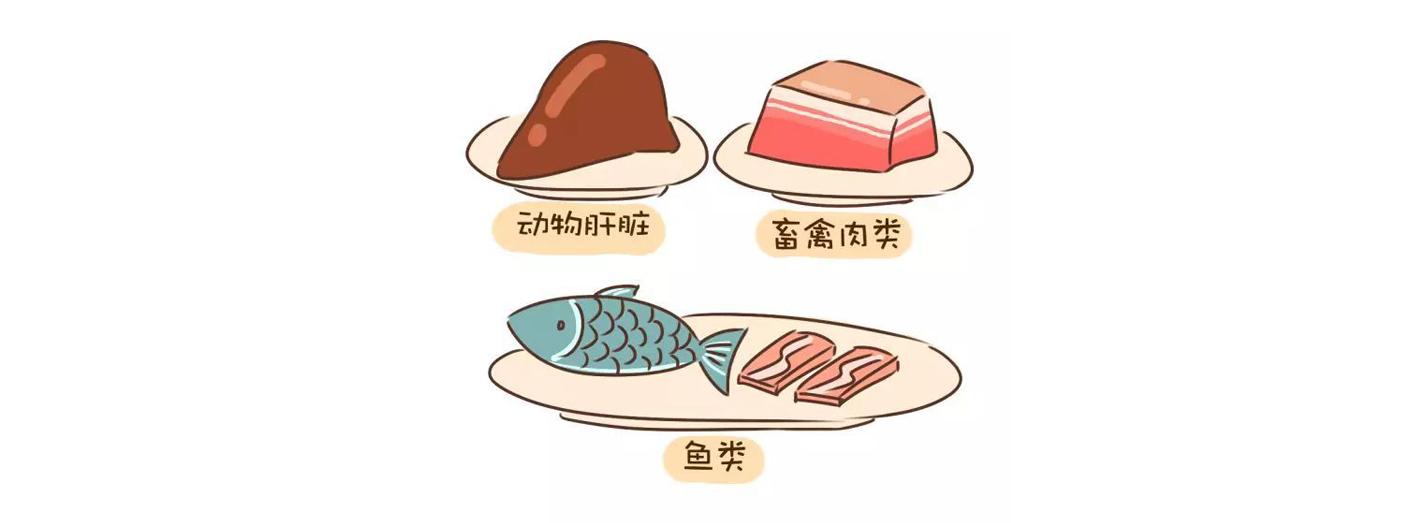 孕妇贫血吃什么可以补血呢? - 知乎