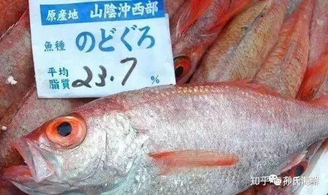 【孙氏海鲜】海鲜食用指南:日料刺身都有哪些鱼?(下) - 知乎