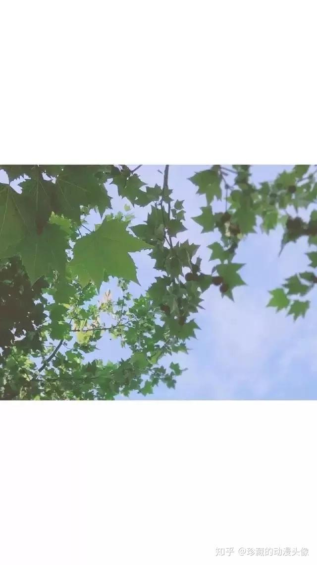 珍藏的动漫头像qq套图敲可爱的小朋友小朋友管理员