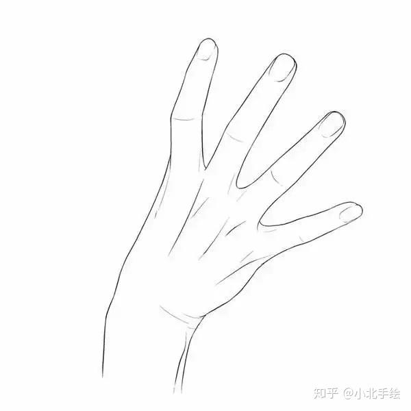 服装手绘 | 画人难画手,3分钟教你画一只手(附300张手)