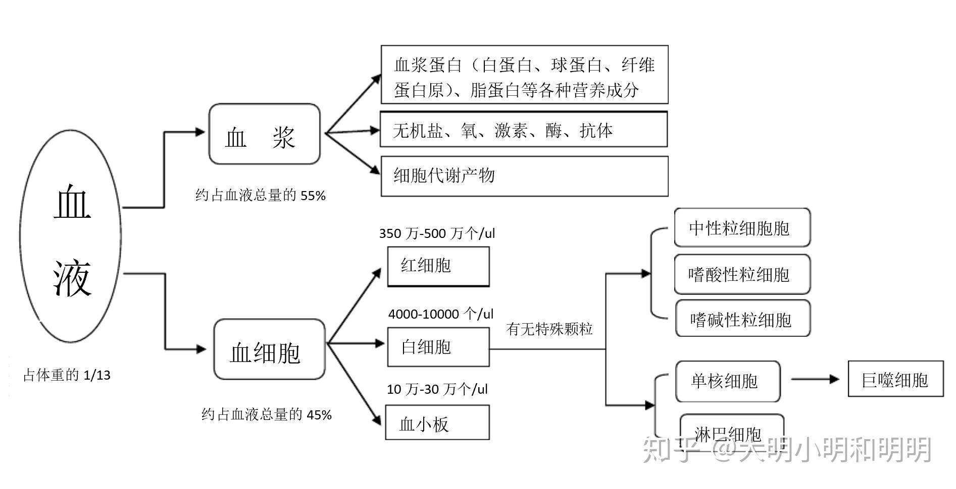 为什么是血浆而不是血清?