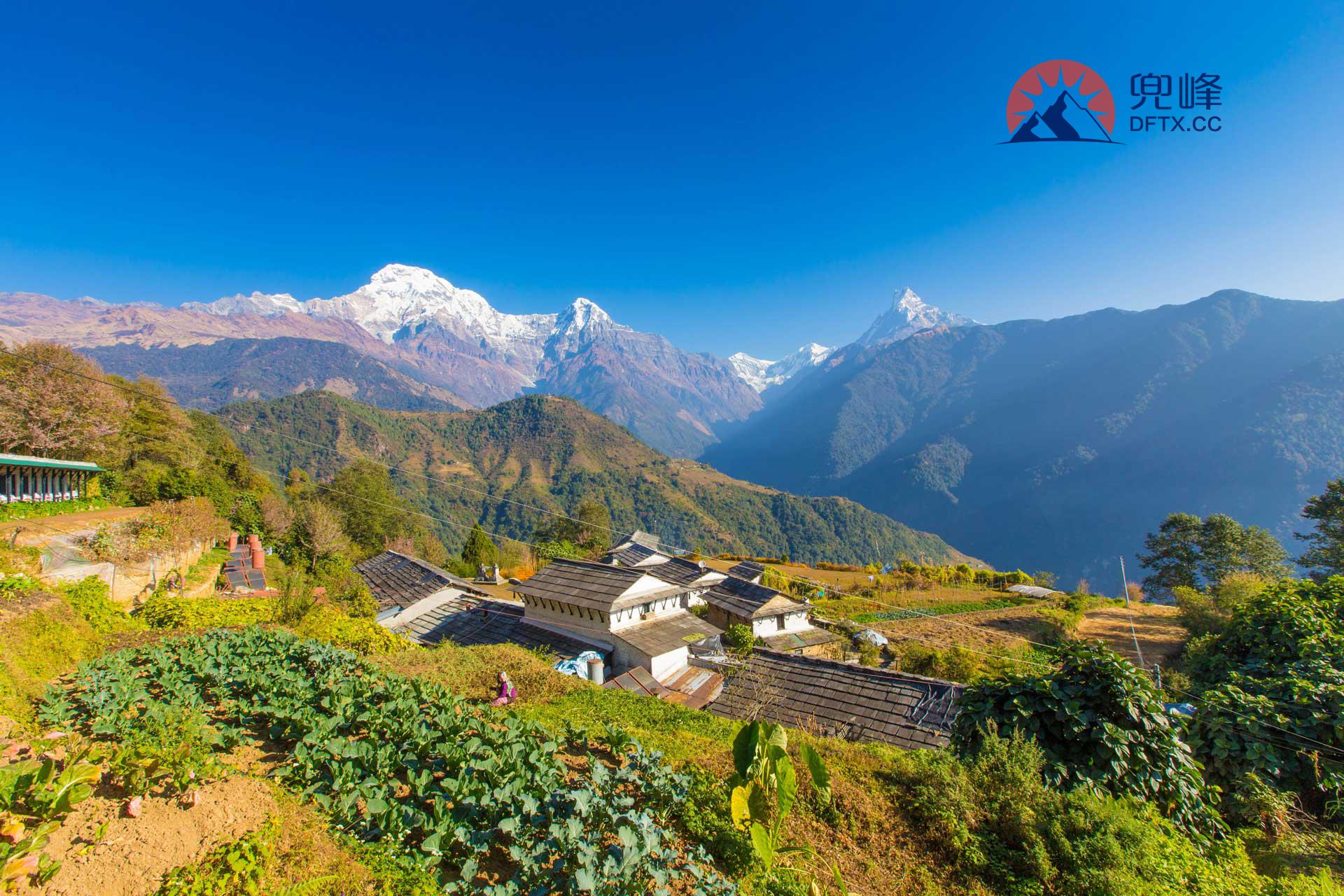尼泊尔Mardi Himal的徒步飞伞（一）一步一步爬上去 从鱼尾峰脚下飞下来 - 知乎