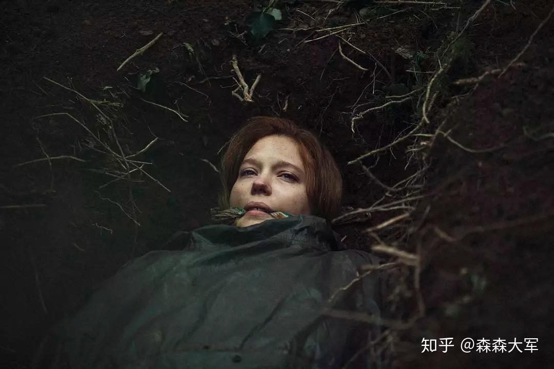 关于电影龙虾的艺术解析