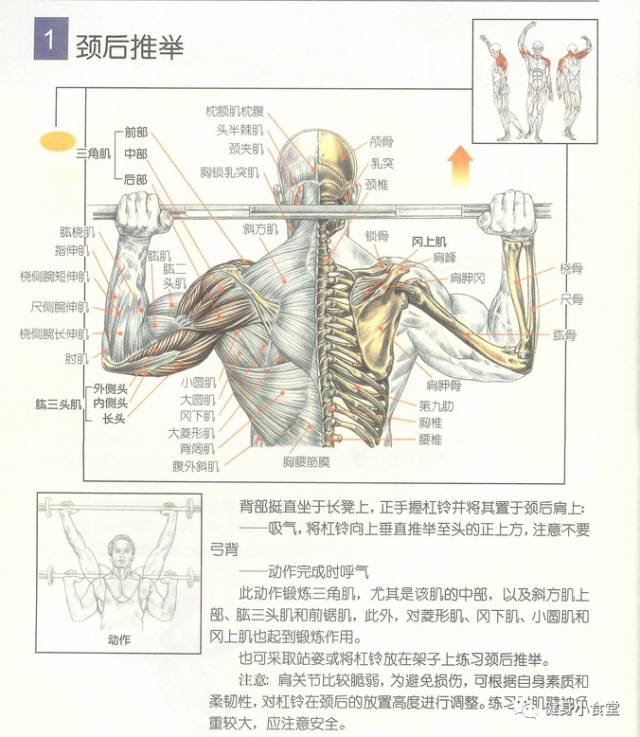 有哪些健身入门的书籍可以推荐一下的