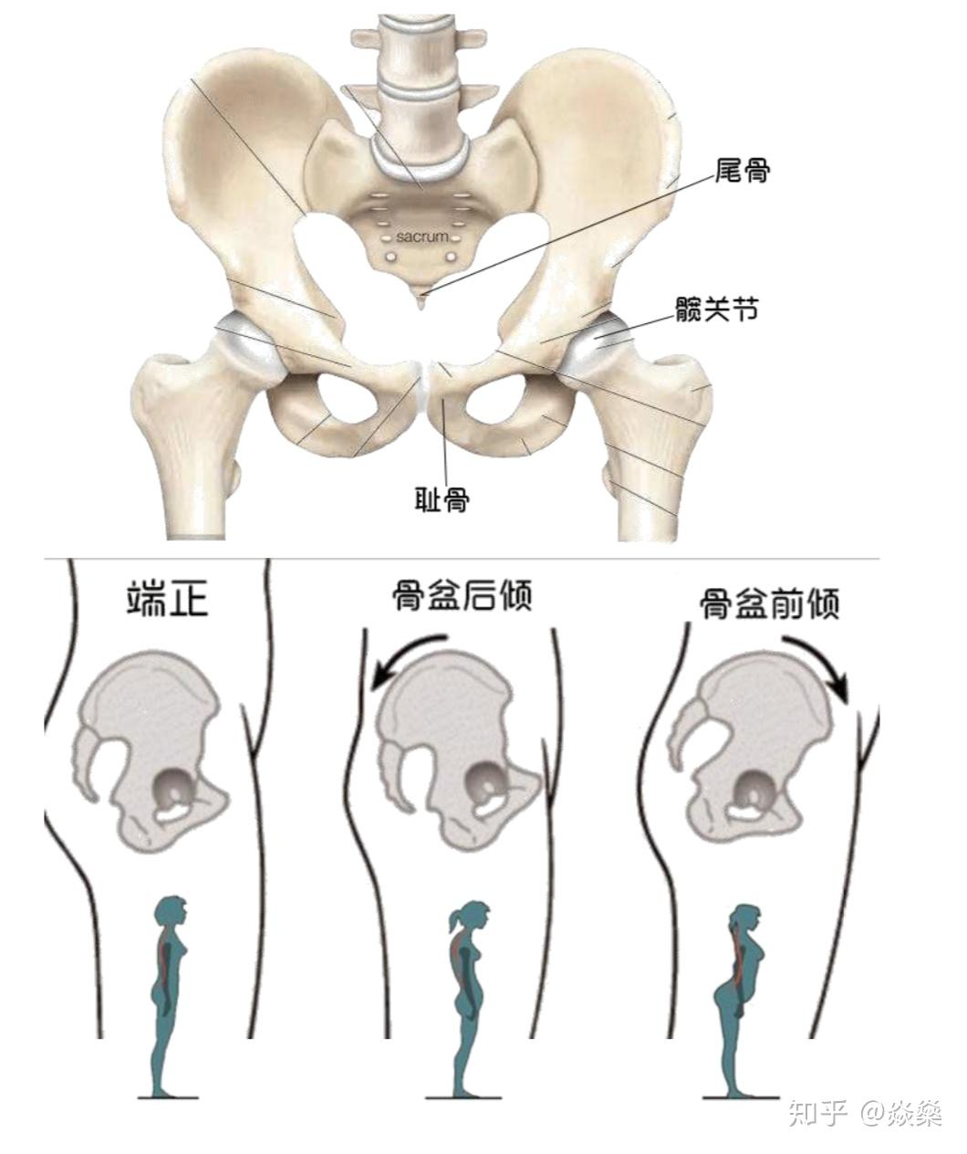 看完这篇你还认为自己是瑜伽达人吗