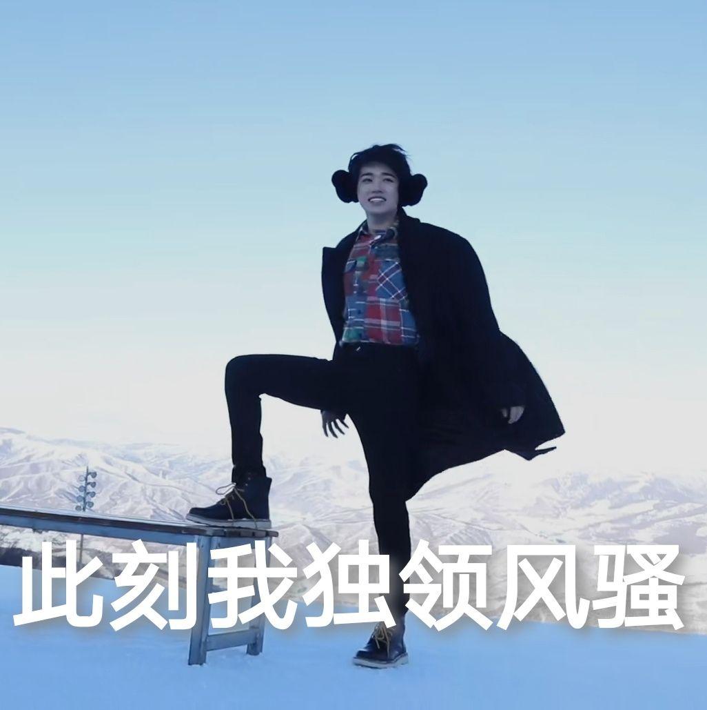 有什么沙雕或者可爱的的明星表情包