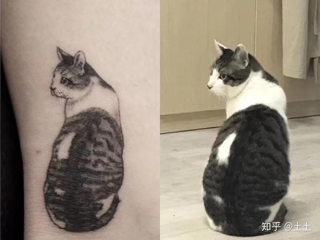 猫咪纹身大赏 - 知乎