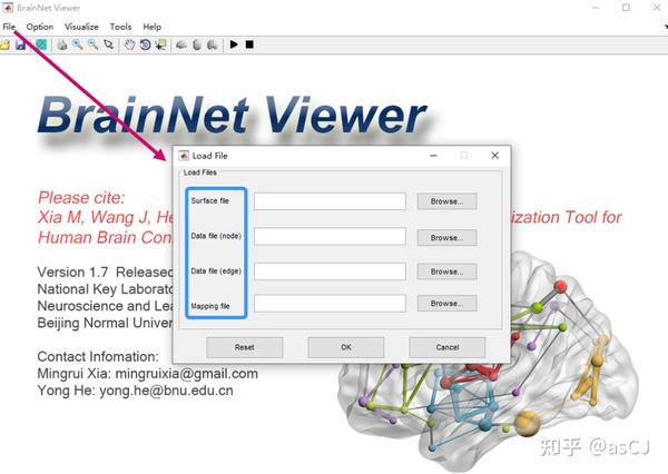 BrainNet Viewer--脑连接组可视化工具 - 知乎