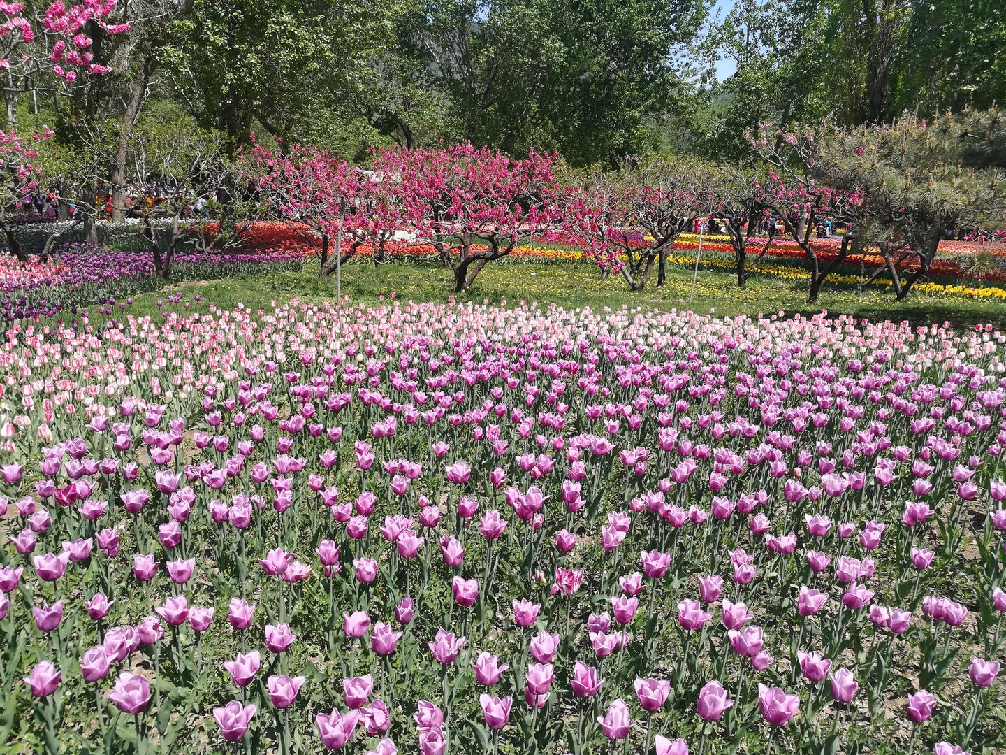 英语写作高级句型 常用词组集锦 高考真题书信类作文 知乎