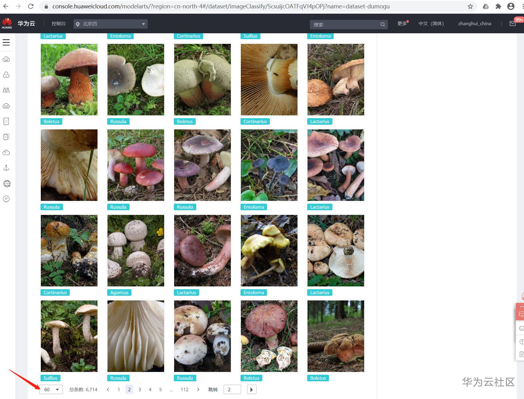 手把手教你使用ModelArts的自动学习识别毒蘑菇分类 手把手教你使用ModelArts的自动学习识别毒蘑菇分类