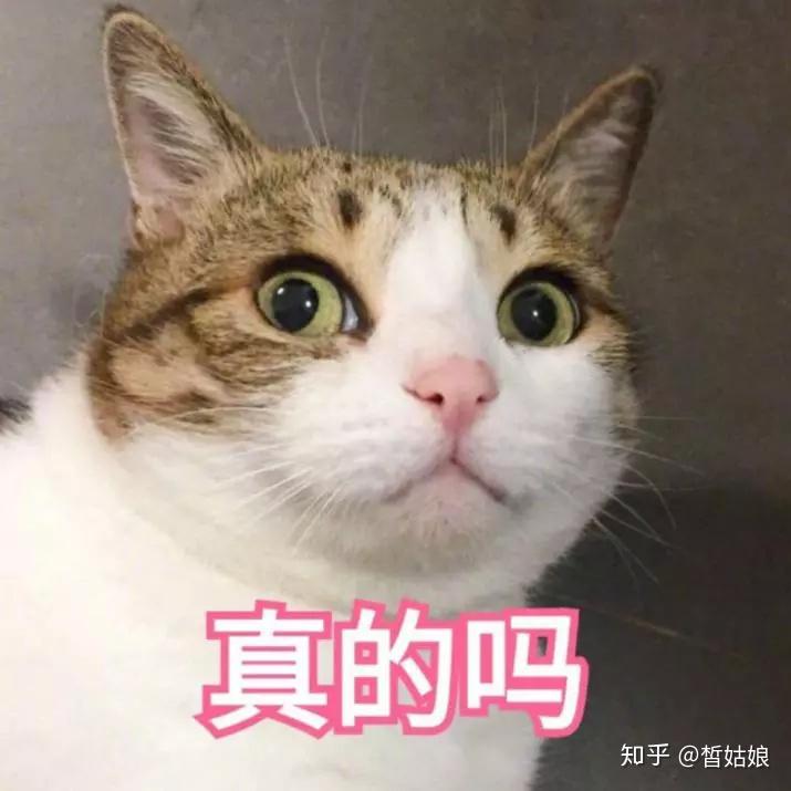 v2-cdd49b53c0b60563d70ecce840aeea20_r.jpg