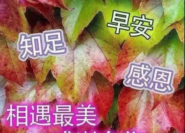 2022虎年清晨早上好的微信动态表情 早上好的微信表情图片