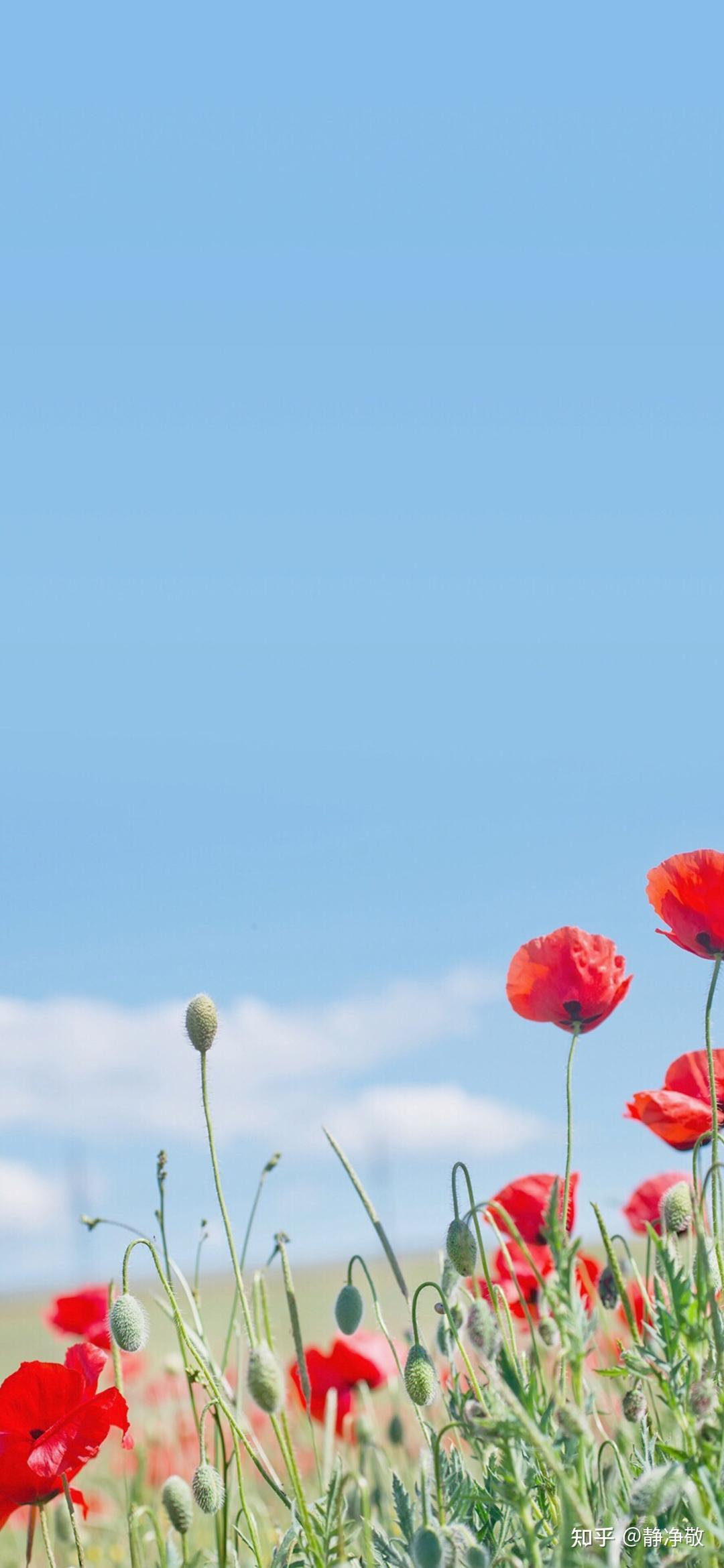 一个人整天讲自己的事情,这个人就是比较自私的人.静净敬