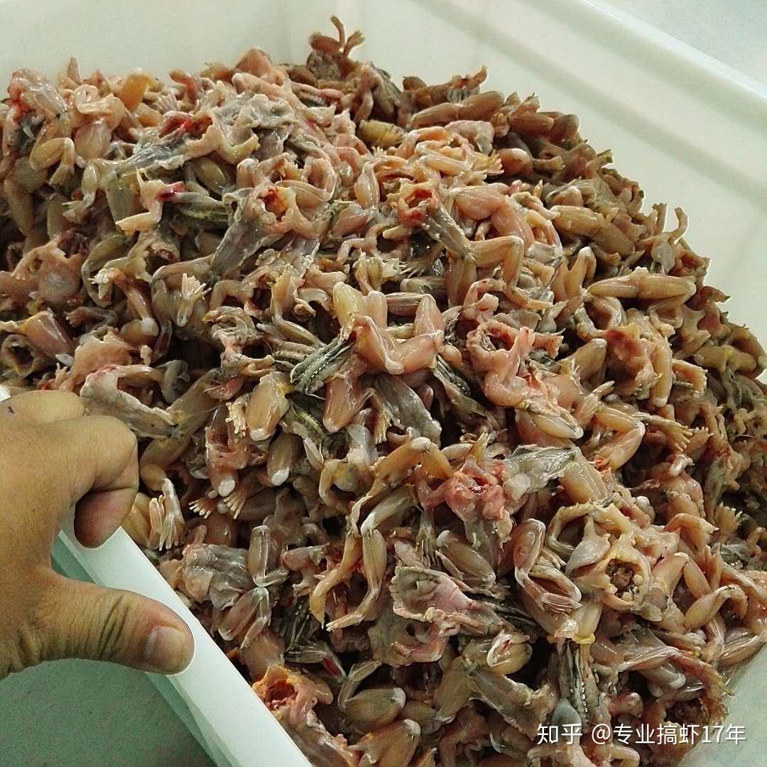 网传的田鸡里有寄生虫是真的吗正规饭店的田鸡到底能不能吃