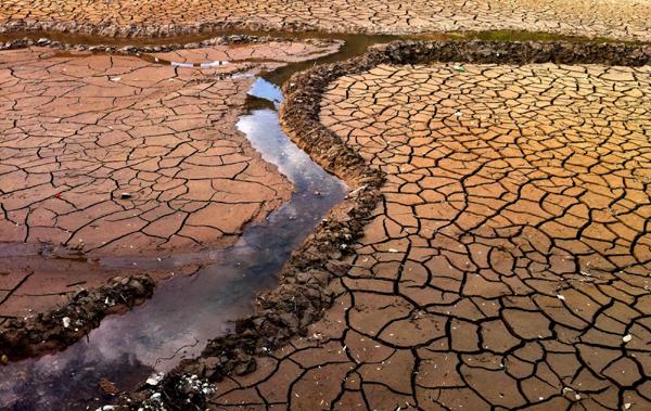 美国遇千年大旱灾蝗虫疯长毒蛇进城自来水都变臭了