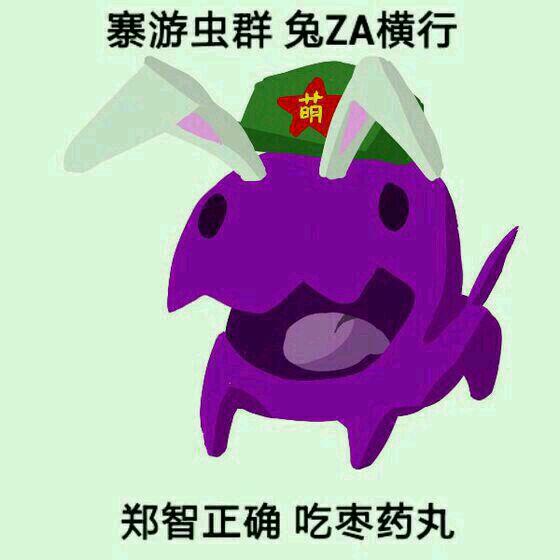 用戶上傳的圖片