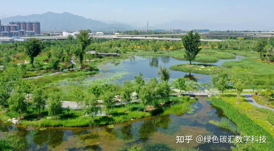 湿地碳汇的保护和增强 - 知乎