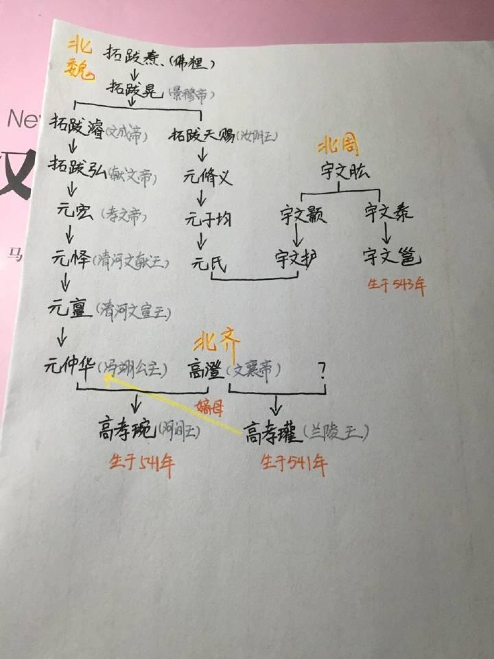 宇文邕和兰陵王是什么关系啊?