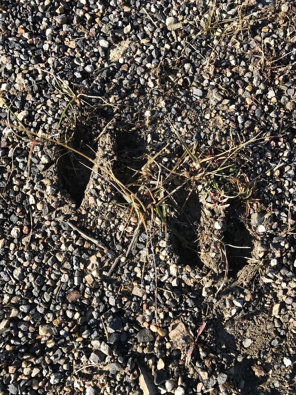 1. 焦痕修复技巧