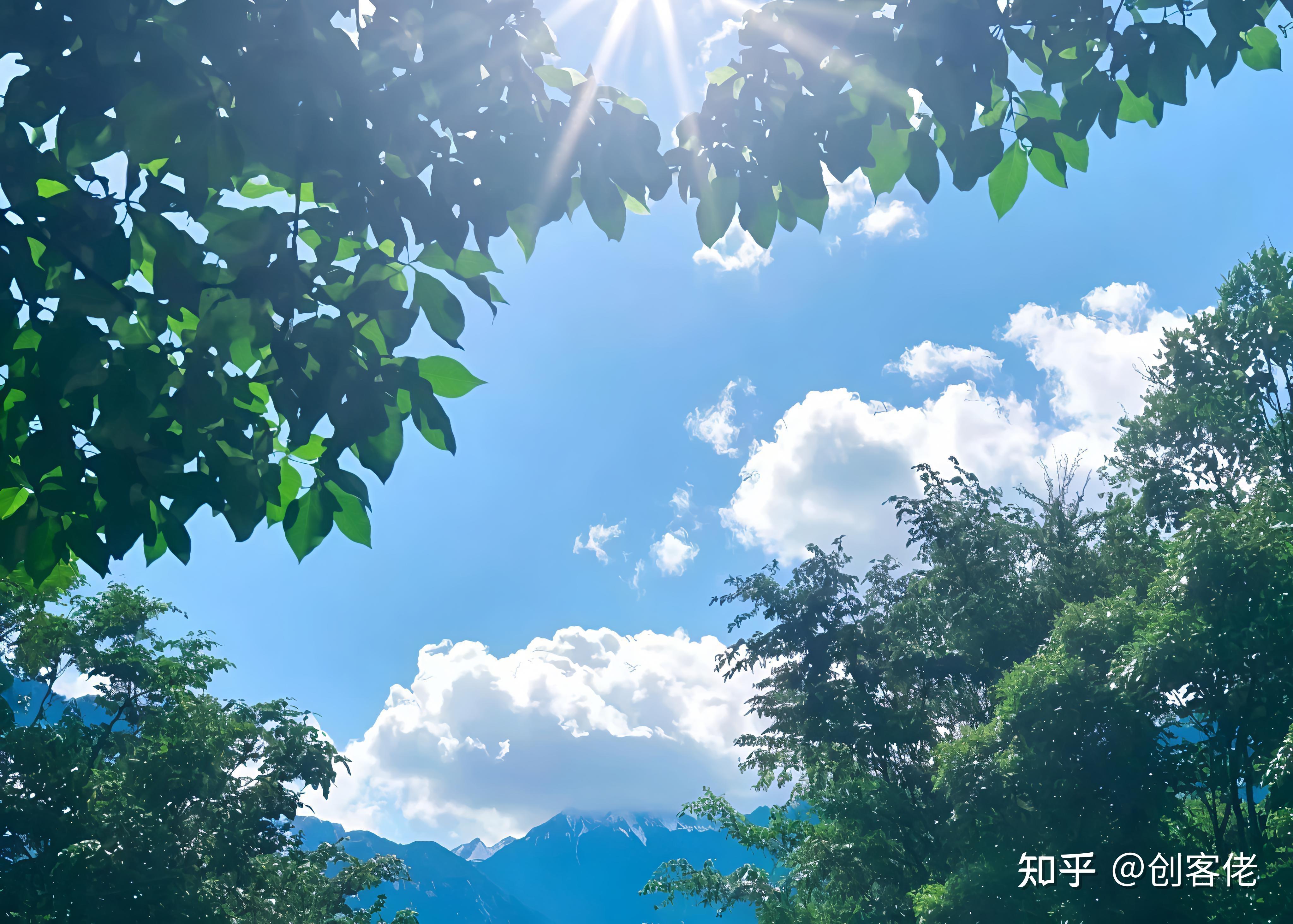 人一旦过了25岁之后，你觉得什么能力最重要？