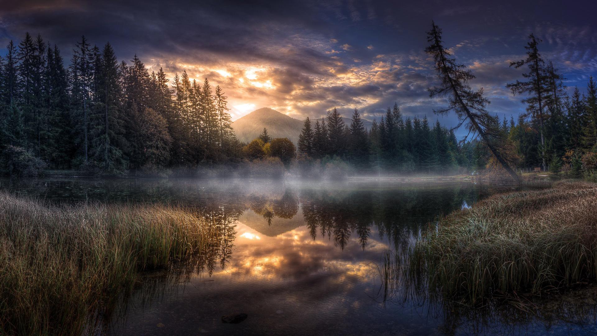 2020年圣诞快到了有哪些好看的手机和电脑壁纸推荐