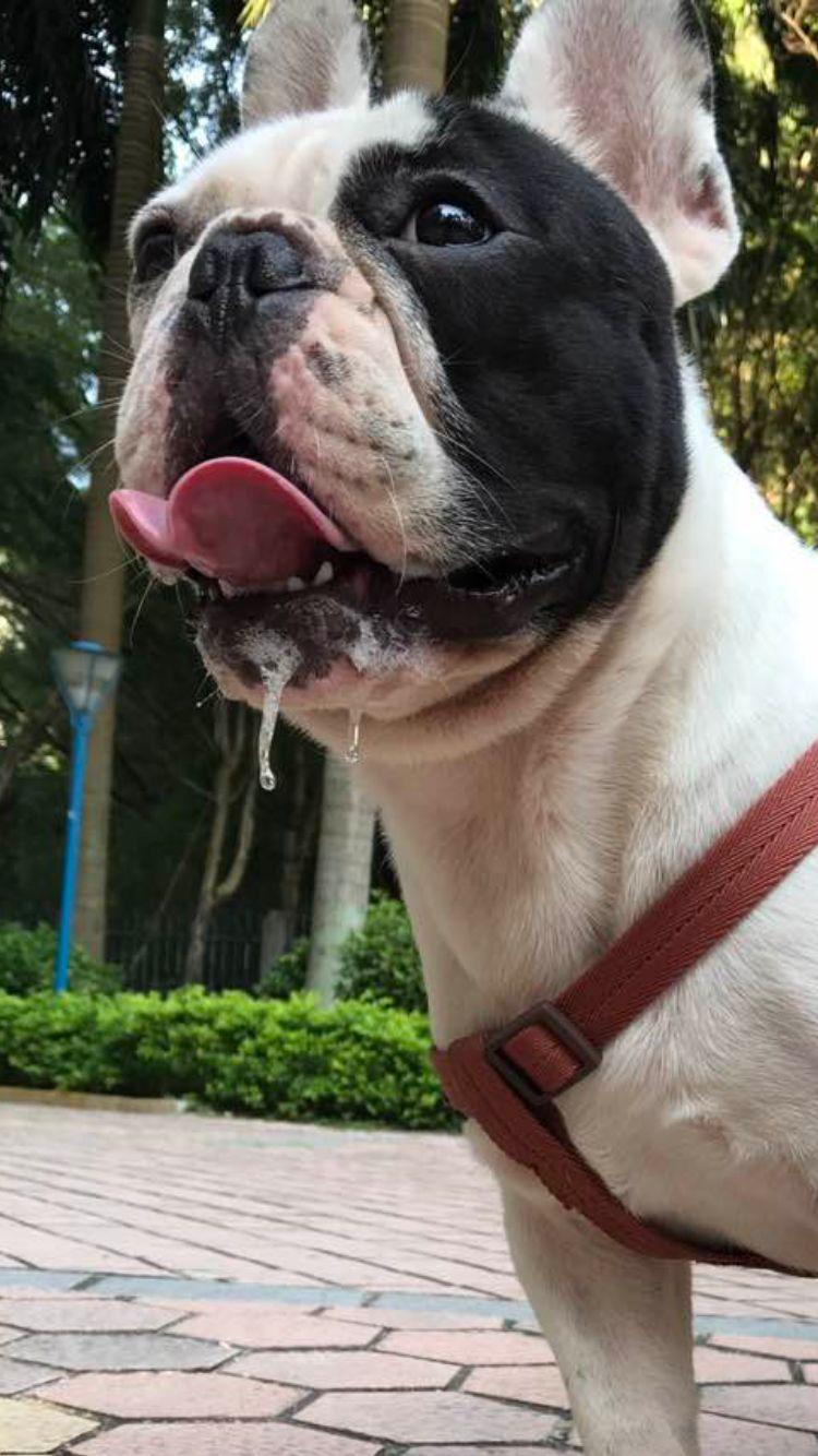 物流公司 - 话题精华