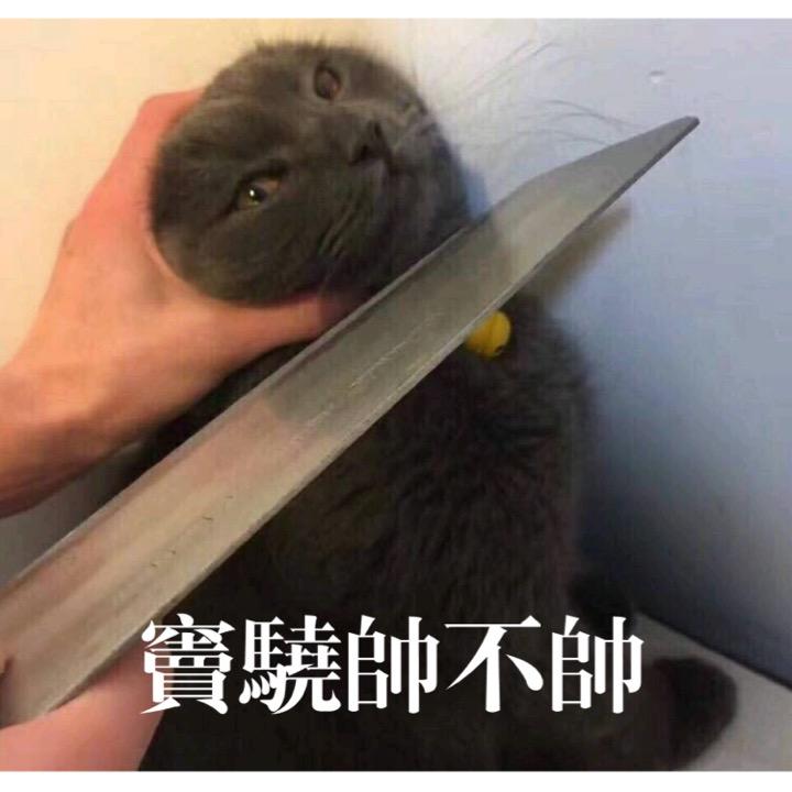 窦骁的美图或搞怪图有哪些?-窦骁帅照