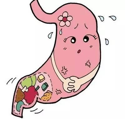吃一点饭,就感觉饱了,这是怎么回事? - 知乎