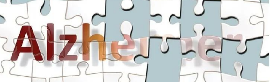 细说汉字丨脑海中的橡皮擦 阿尔茨海默病 知乎