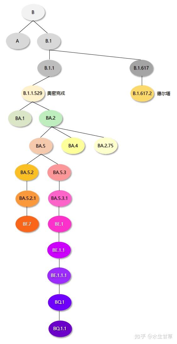 BF.7为什么叫BF.7-新冠病毒的Pango命名系统 - 知乎