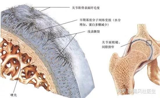 v2-ce3e6c6a7d0ba4ff0ba165c430bea698_r.jpg