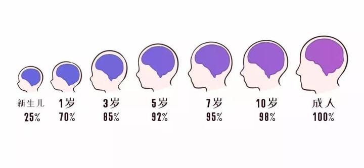 英语线上启蒙app哪家强 亲测叽里呱啦 斑马英语 小花苞英语 知乎