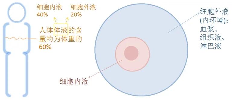 端点汇创新 真正的勇士要敢于直面疾病——发病学概论 - 知乎