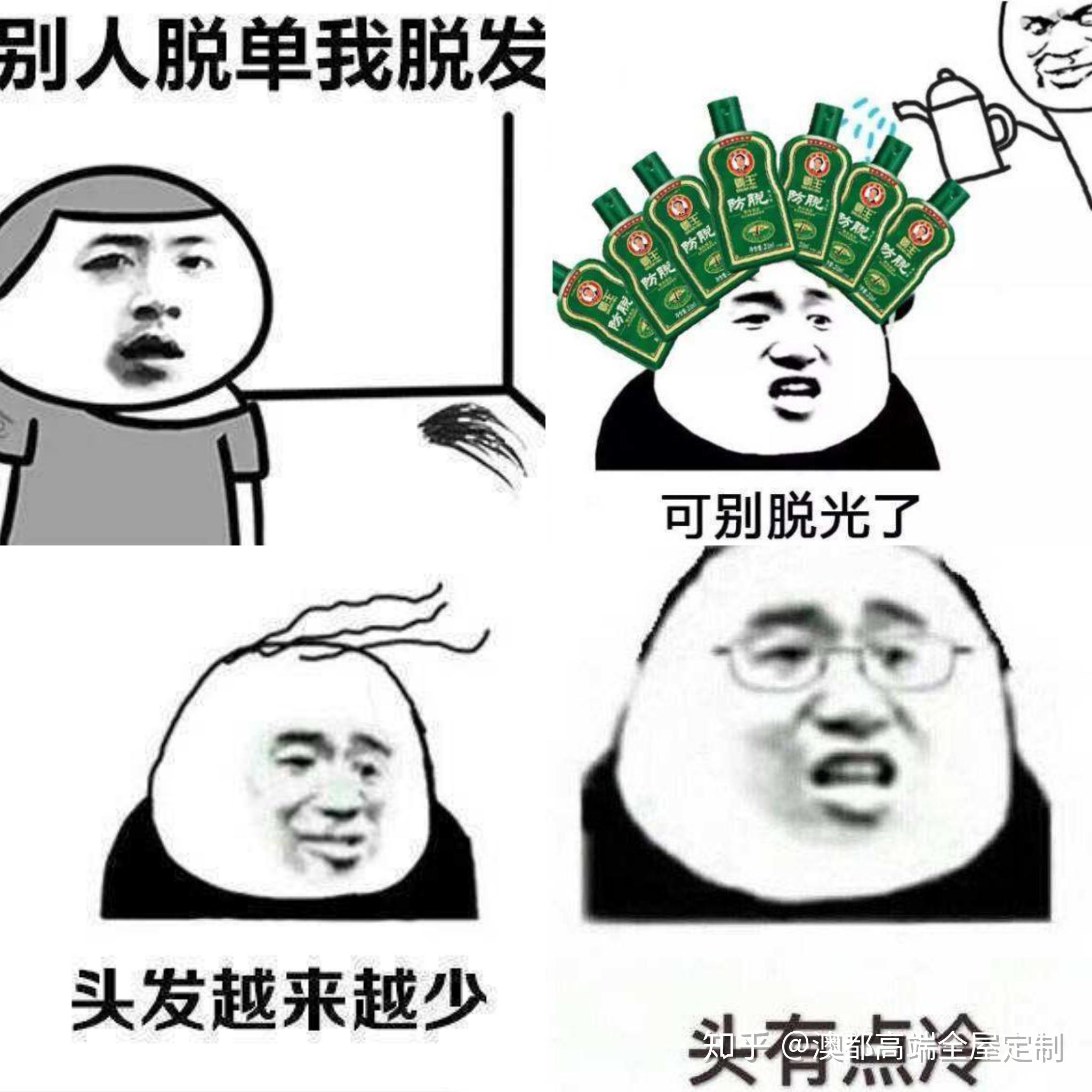 别人脱单你脱发