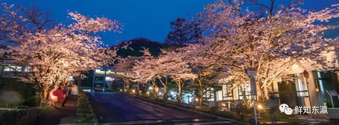 名校大观日本北方的一颗明星小樽商科大学