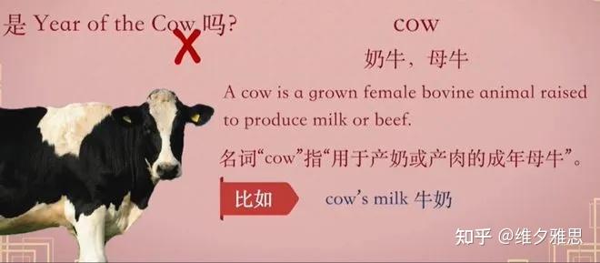 牛年的牛,英语到底是cow,bull还是ox,cattle ?