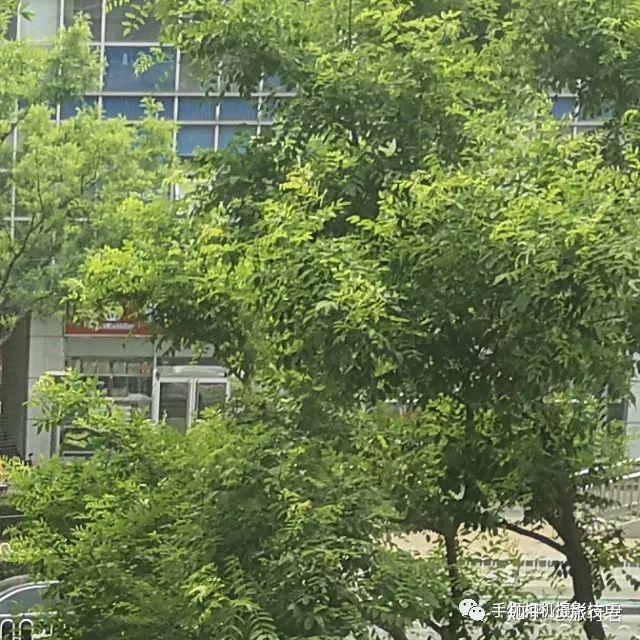 女生,iPhone8plus和华为mate10pro,华为p20pr