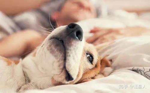 如何让自己不容易睡着 v2-ce5cc67a3999663c9a4c7ca8043342cc_r.jpg