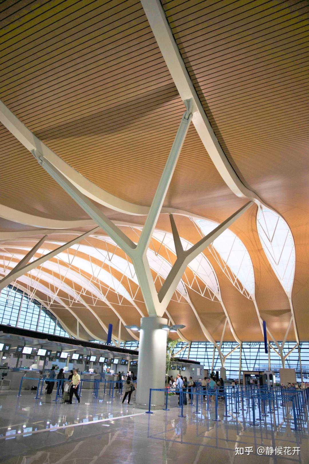 "成若干个分枝,拓扑演化形成分叉或编织,统称为"树形柱"或"分叉柱"