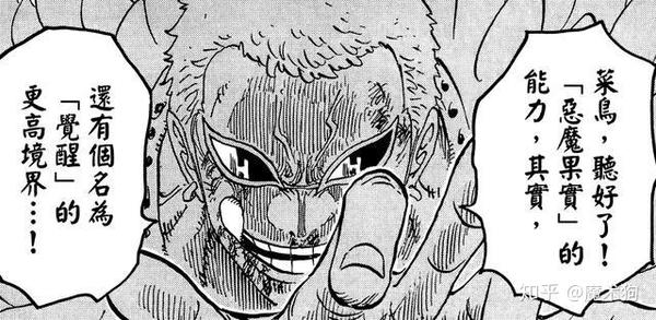 全面科普海贼王恶魔果实系统 你想知道的细节都在这里 知乎