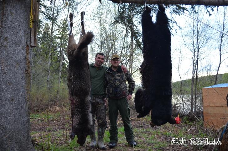 走近北美猎熊人