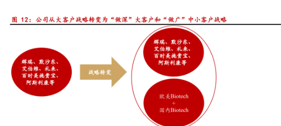 小分子cdmo行業領先者凱萊英專題研究報告